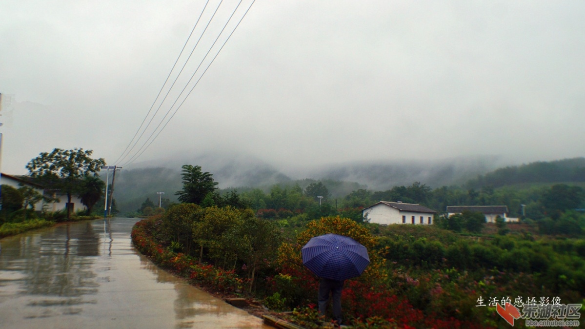 鄂西北十堰;烟雨竹溪行