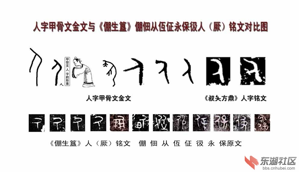 参看:《倗生簋》倗仾从佃佂永保人铭文与人字甲骨文金文对比图