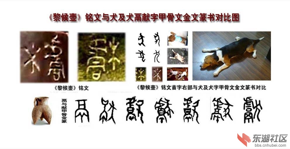 综合研究组成献字的虍,鬲,犬各部的象形文字,甲骨文,金文,篆书的演变