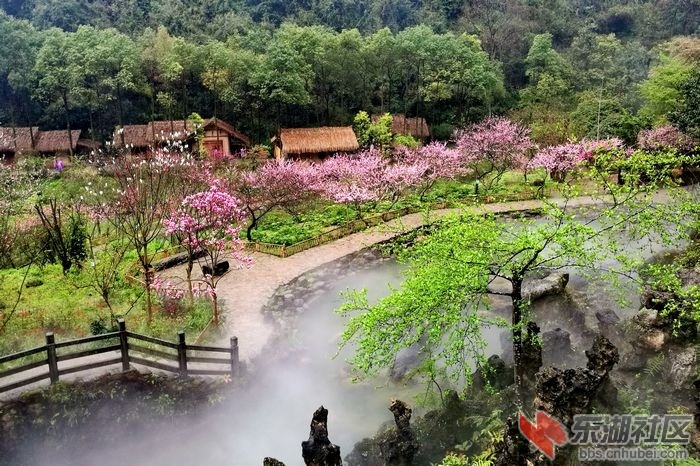 酉阳桃花源有如仙境 满眼桃红 如梦如幻