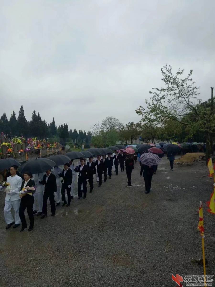 生态安葬,文明祭祀——青山公墓节地生态葬及百联祭清明活动