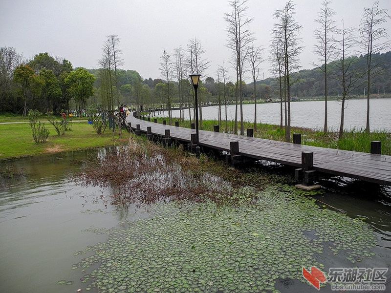 城市绿肺武汉龙灵山生态公园印象