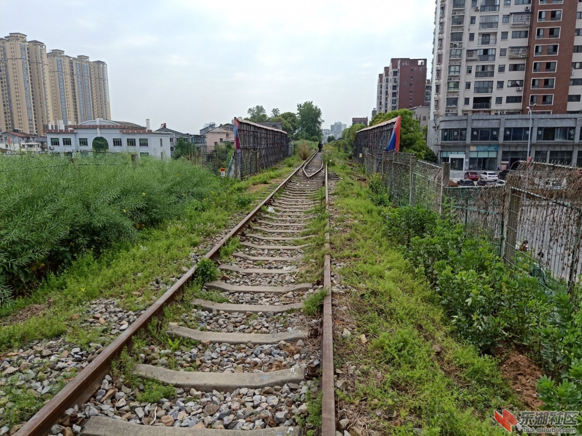 漫步杂草丛生的小溪塔黄金卡火车站探究鸦宜铁路的终点