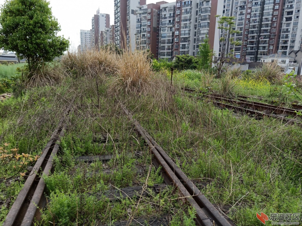 漫步杂草丛生的小溪塔黄金卡火车站探究鸦宜铁路的终点