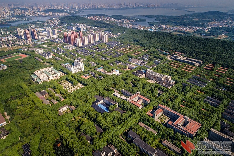 毕业季再拍全国最大森林中高校华中科技大学校园风光曾院平摄影