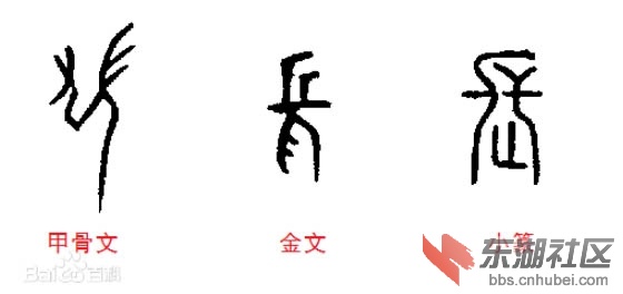 长字甲骨文金文篆书演变字例图