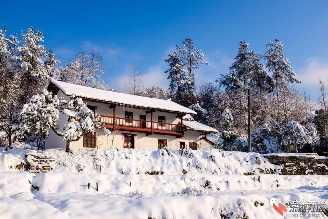 2020年第一场雪 他们镜头下的宜昌雪景