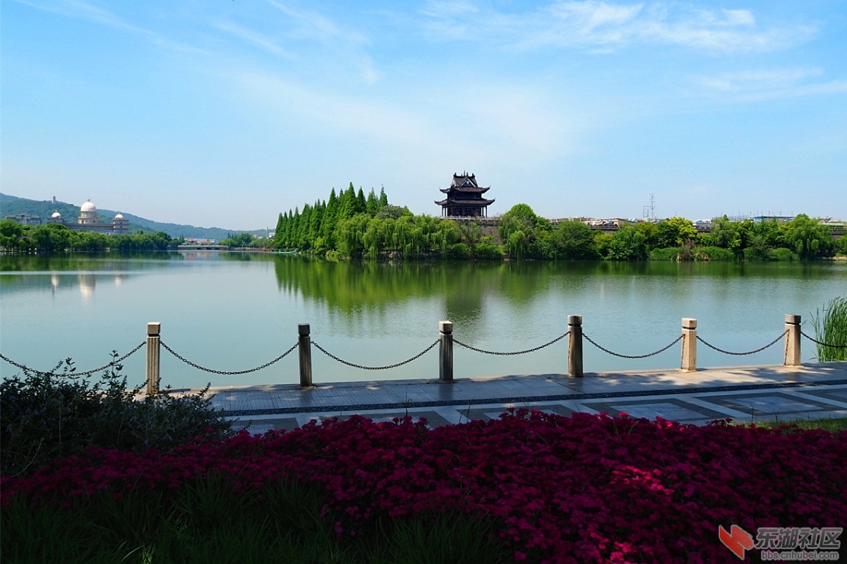 初夏襄阳护城河秀景