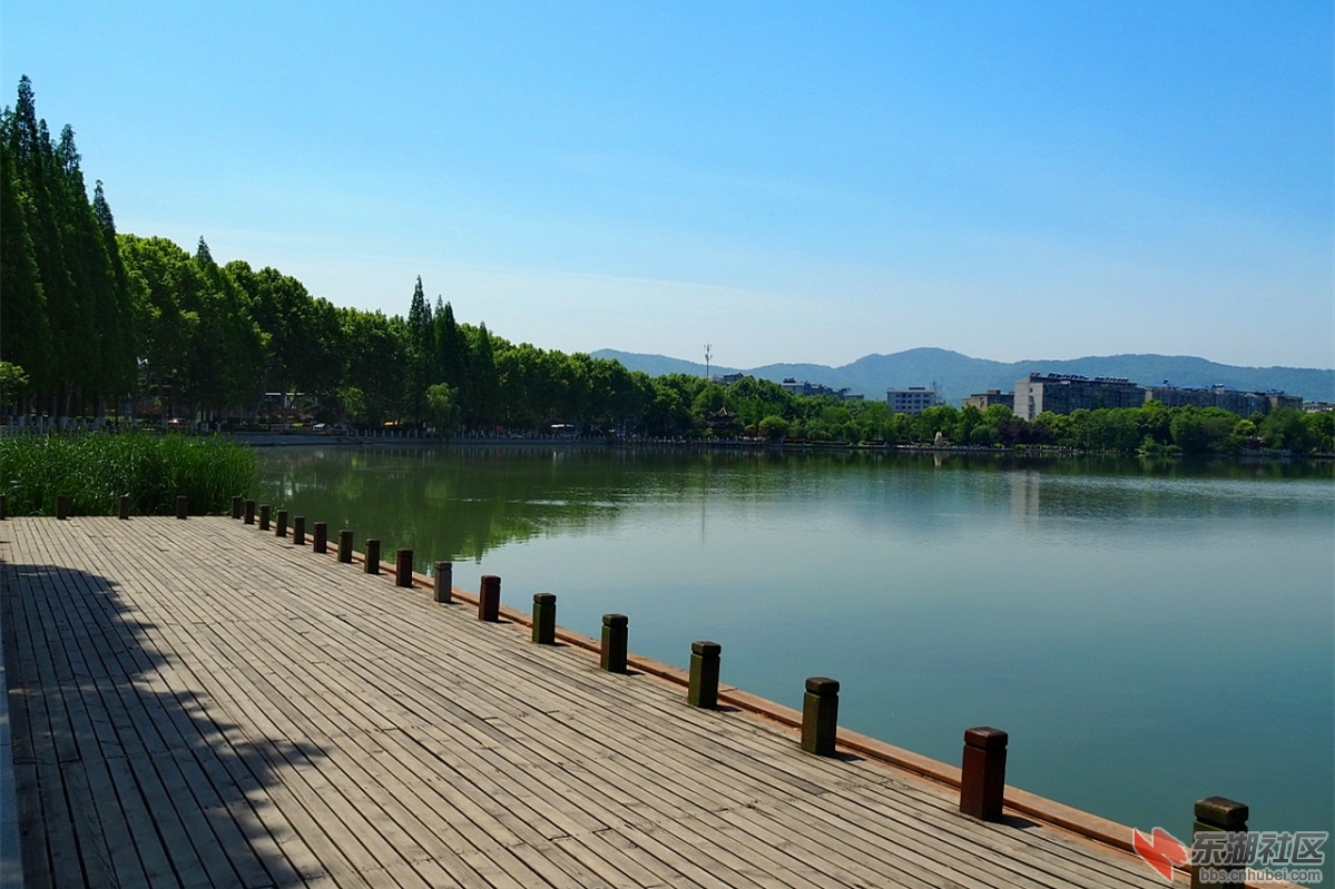 初夏襄阳护城河秀景