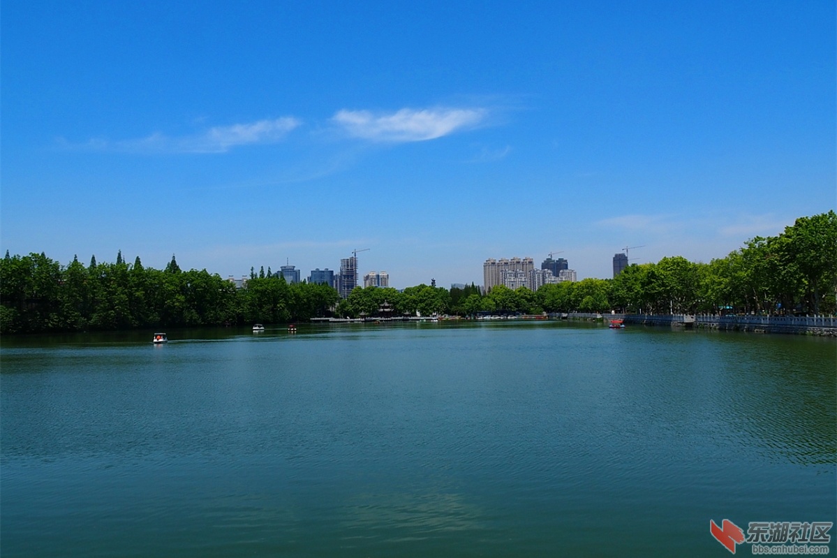 初夏襄阳护城河秀景