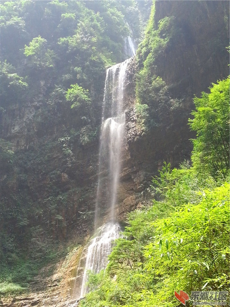 秭归泗溪三峡竹海