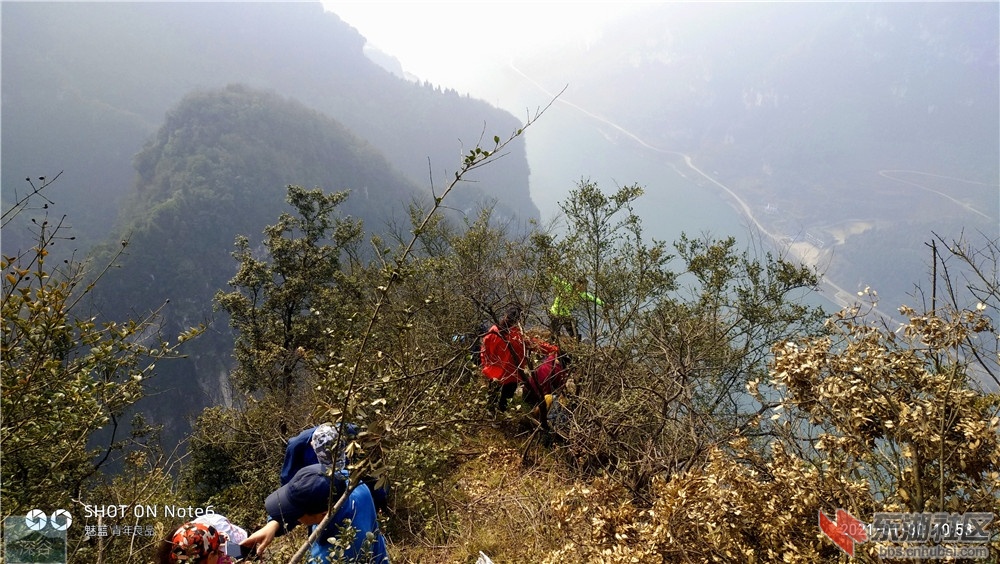 夷陵乐天溪镇王家坪村 登顶 - 宜昌论坛 - 东湖社区