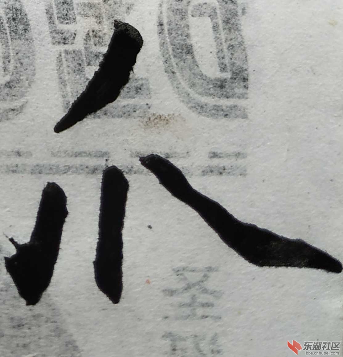 胡文宇书法习作欣赏:每日一字