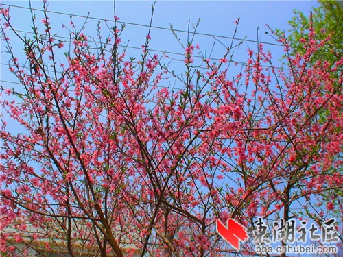 dsc05896_副本.jpg