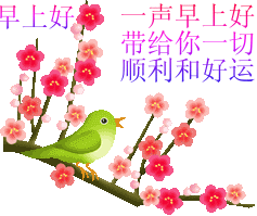 未命名呵呵.gif