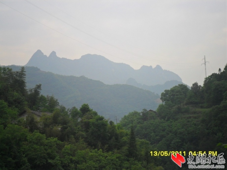 SAM_9029.jpg