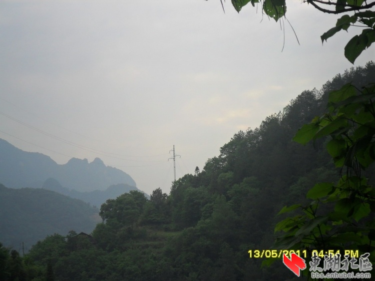 SAM_9030.jpg