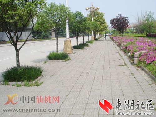 DSC05.jpg