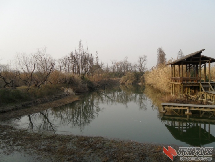 SDC10559.JPG