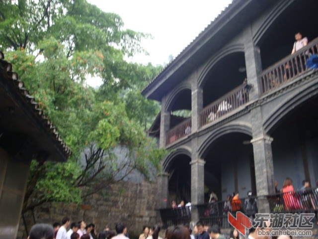 照片 284.jpg