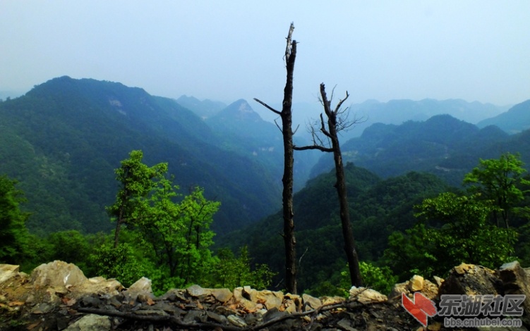 保康110526-29e霸王门08.jpg