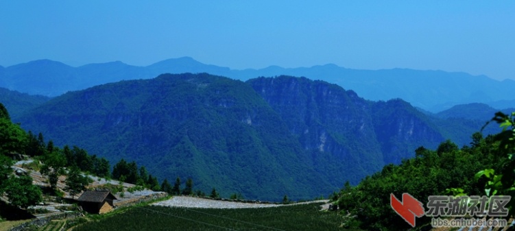 保康110525-29d九路赛01.jpg