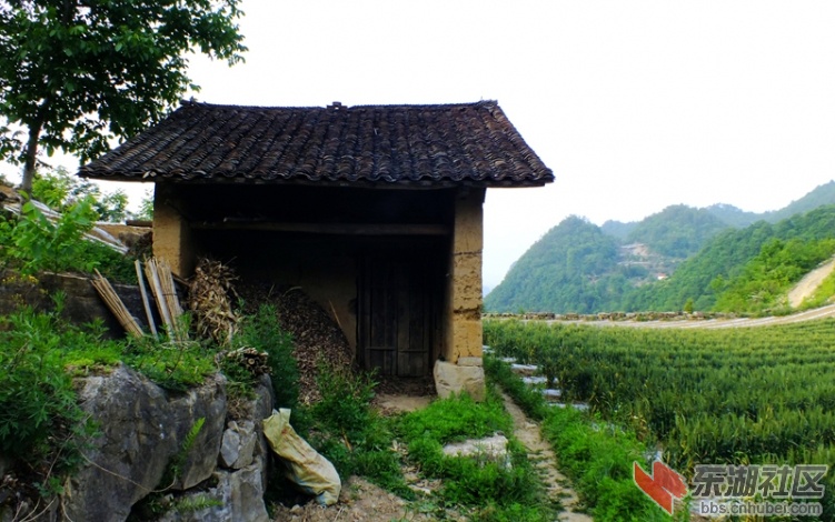 保康110525-29c九路赛村10.jpg