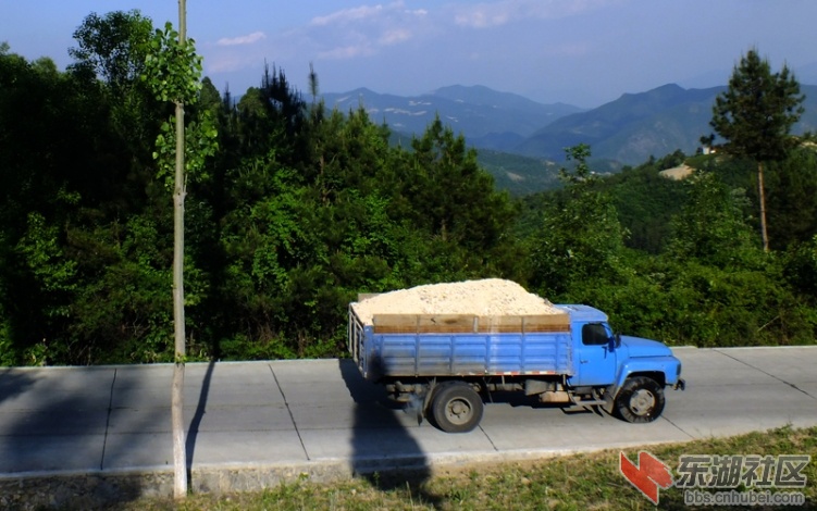 保康110525-29l前往九路寨05.jpg