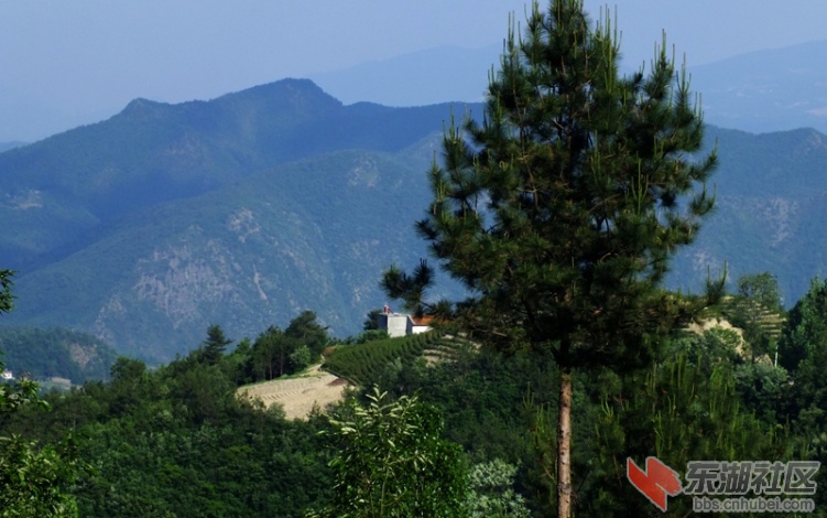 保康110525-29l前往九路寨07.jpg