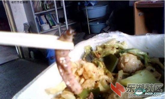 餐桌上的野味