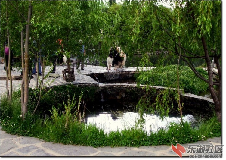 云南玉水寨4049.jpg