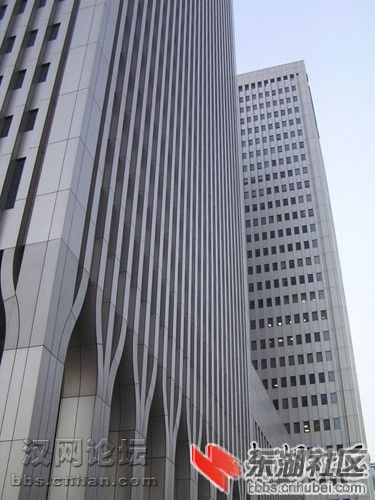 141.jpg