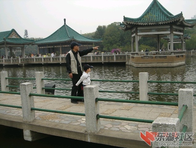 碧潭观鱼.jpg