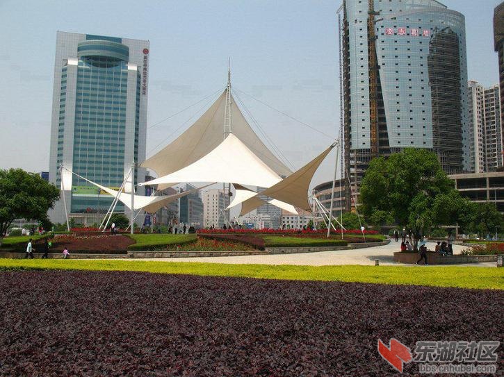 鲁巷广场.jpg