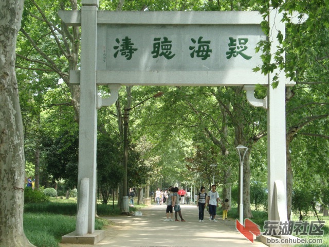 听涛.jpg