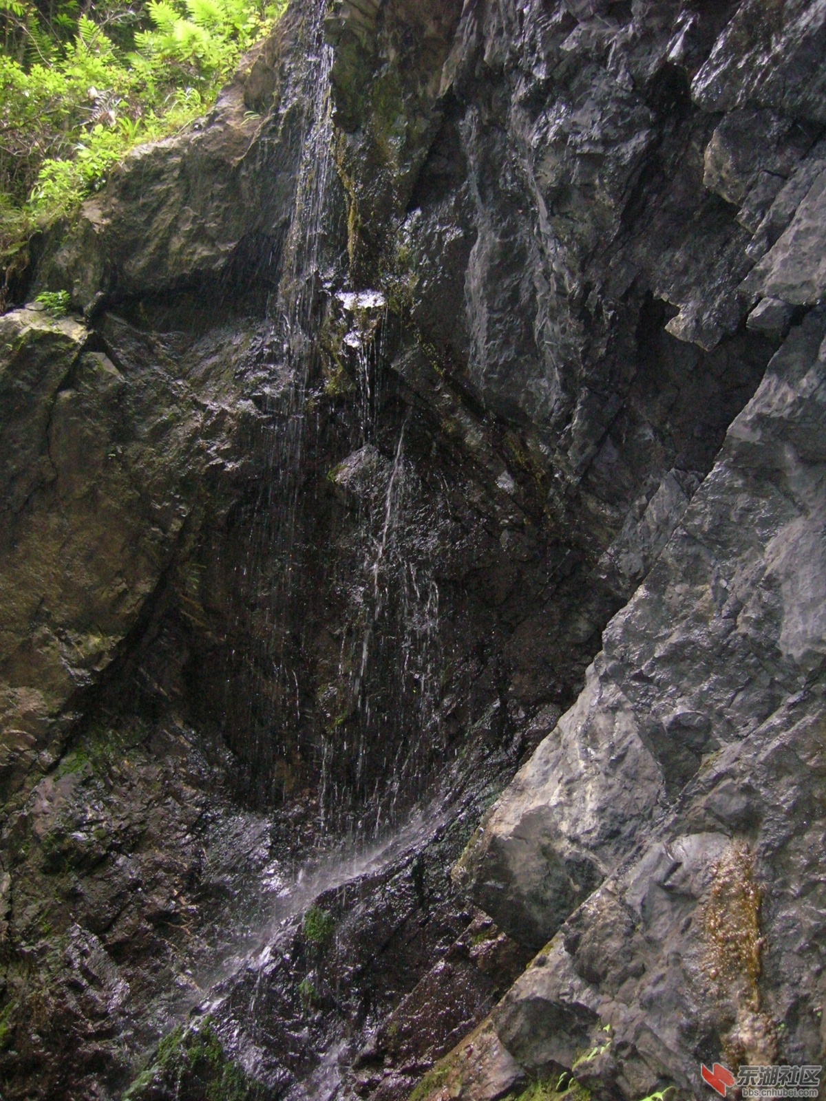 DSCN3926.JPG