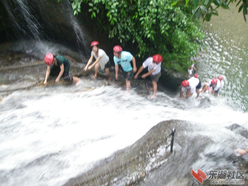 P1011334.jpg