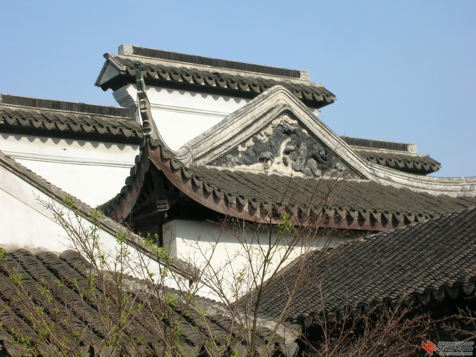 DSCN2796.JPG