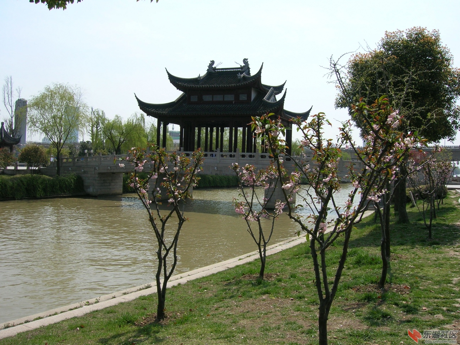 DSCN2890.JPG