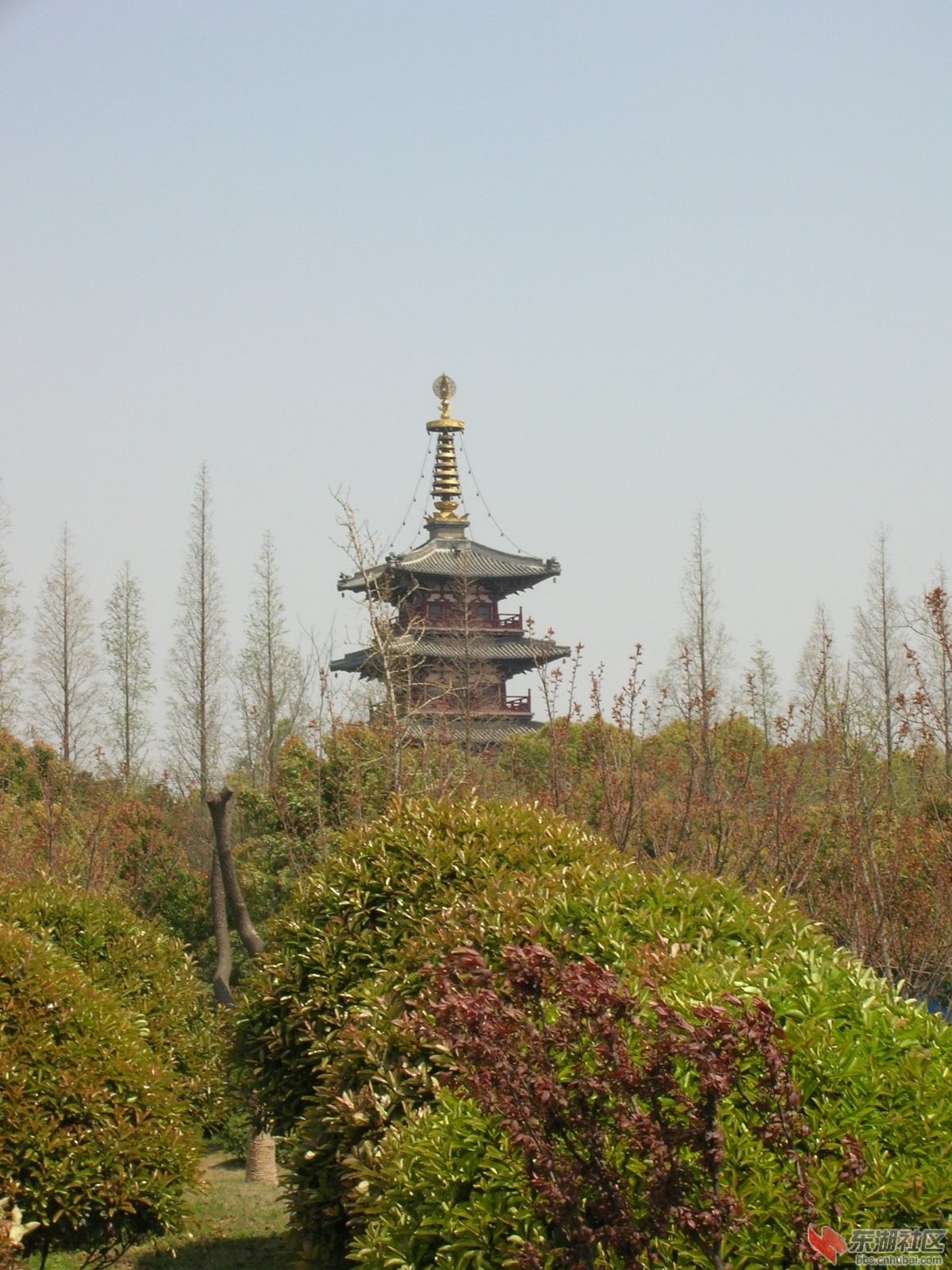 DSCN2891.JPG