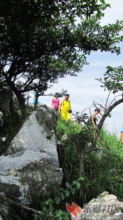 爬山31.jpg