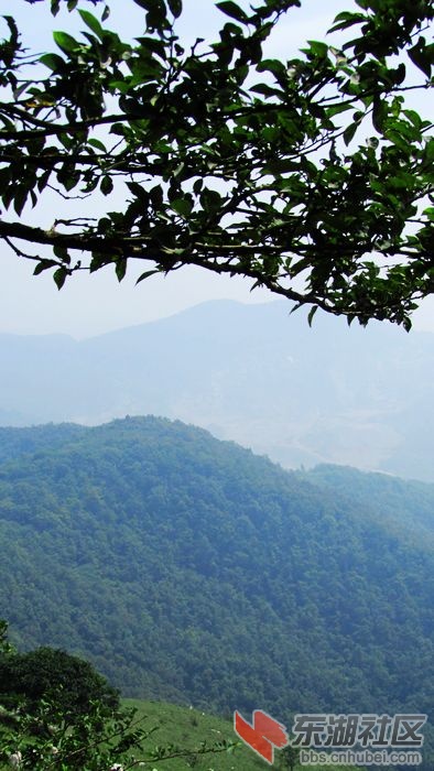 爬山38.jpg