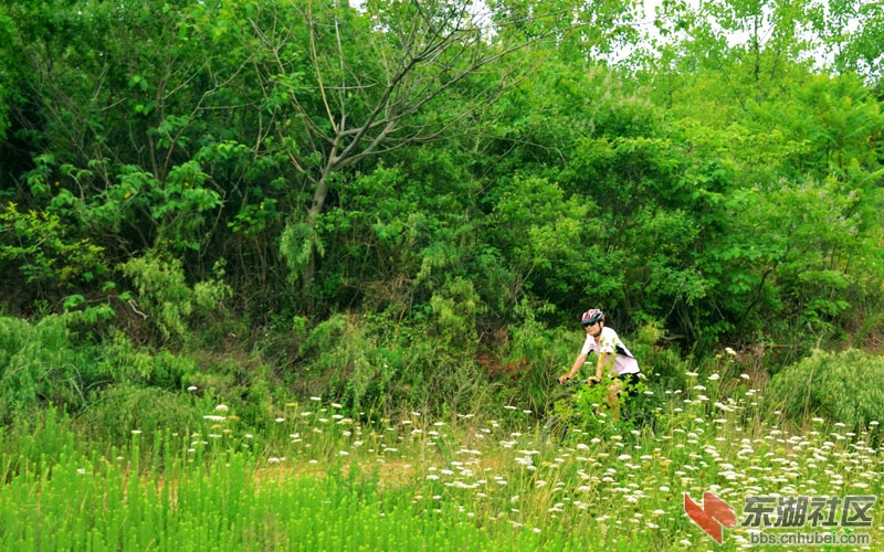 丹江口110611百喜岛046.jpg