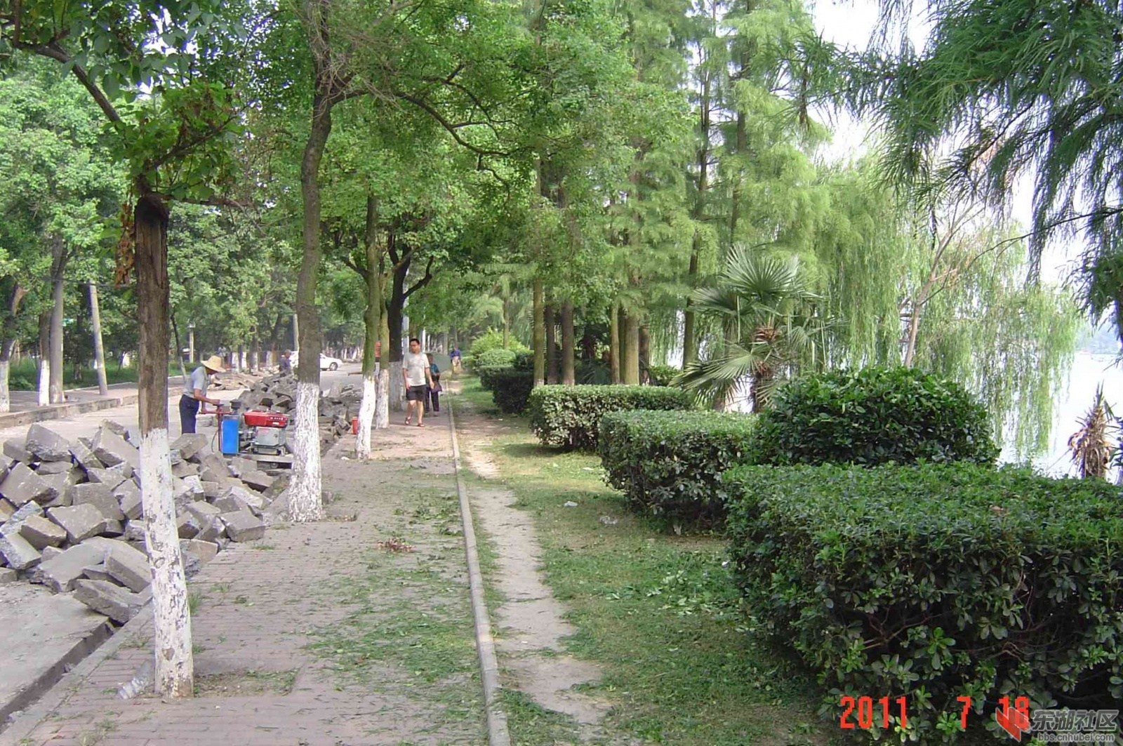 DSC01338.JPG