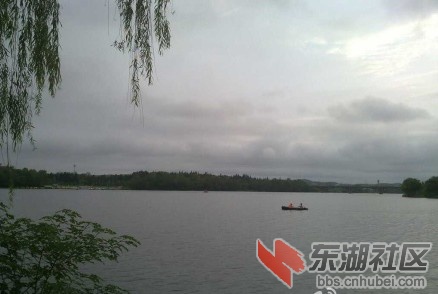 QQ截图未命名.jpg