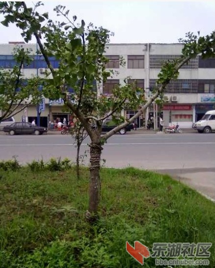 QQ截图未命名.jpg