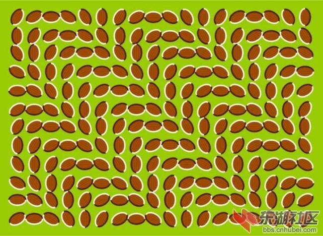 illusion.jpg