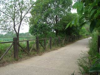 调整大小 DSCN1070.JPG