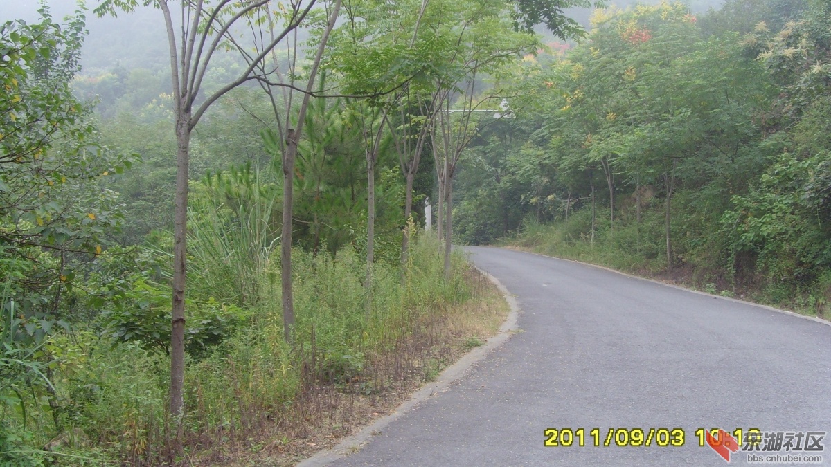 SNV33317.jpg