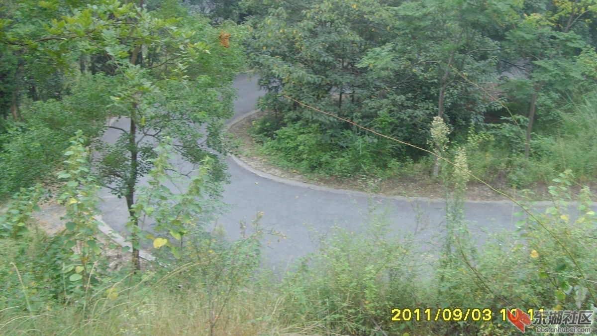 SNV33319.jpg